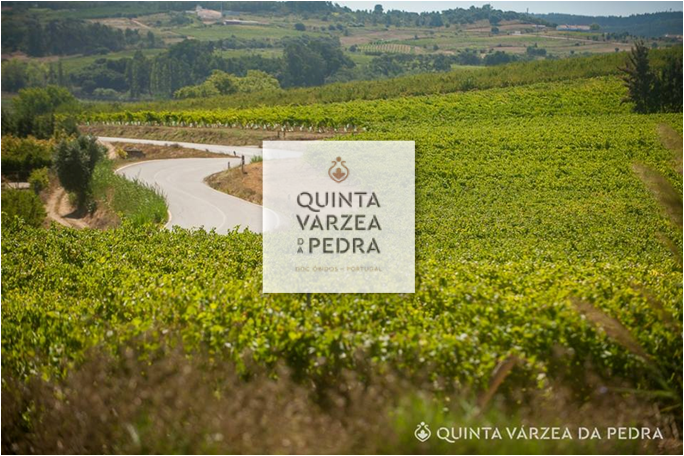 Quinta Vãrzea da Pedra