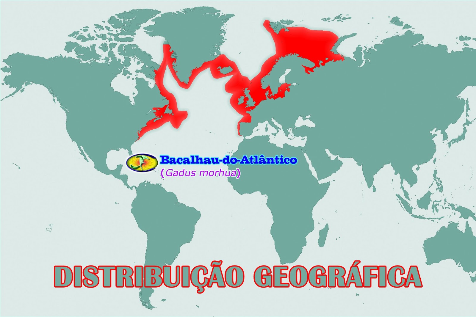 Mapa de distribuição de Bacalhau gadus morhua 