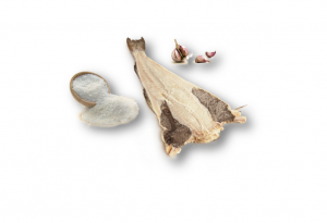 logo-bacalhau-salgado-seco