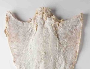 secagem-de-bacalhau129