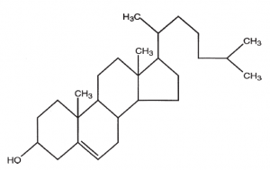 Colesterol