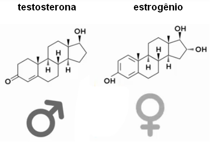 estrogenio e testoesterona