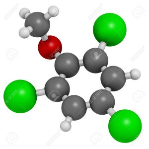 Trichloroanisole (TCA) cork taint molecule. Produced by fungi an