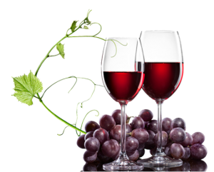 Conheça a história do vinho