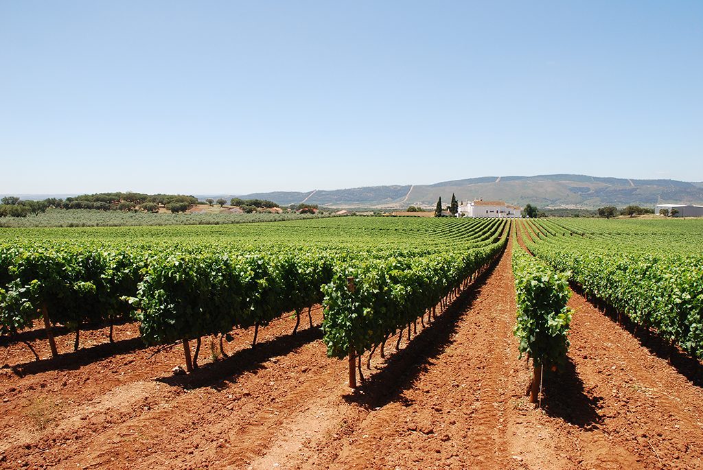 Alentejo-region-1024x685