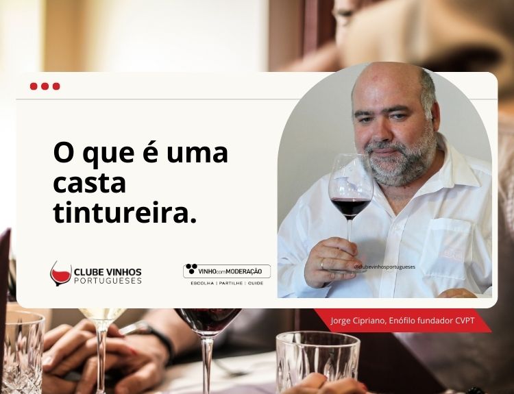 O que é uma casta tintureira