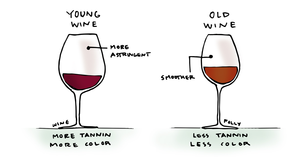 diferenças entre vinhos velhos e vinhos novos