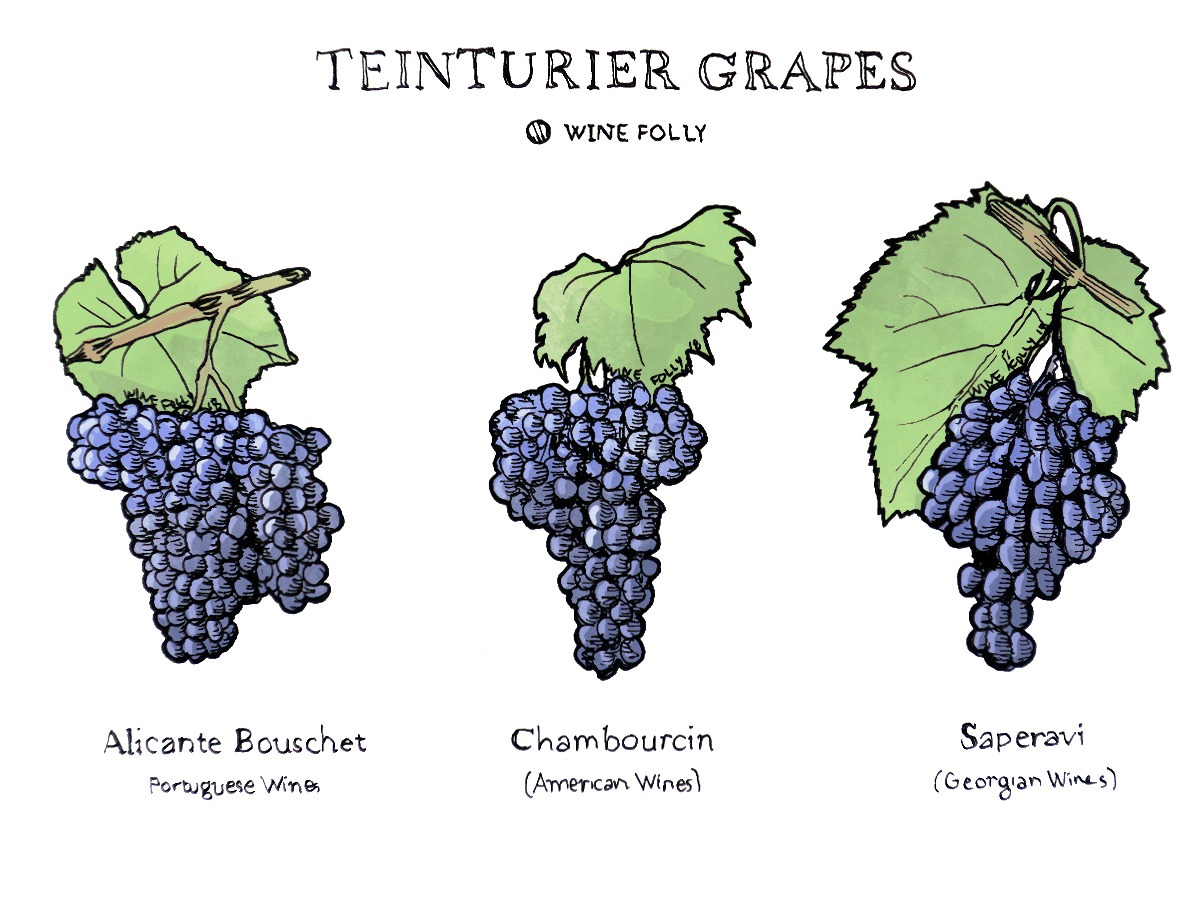 teinturer-grapes-winefolly