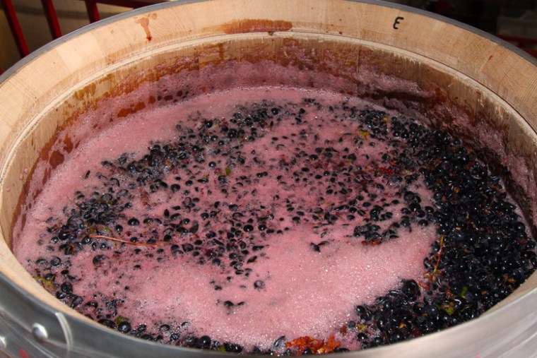 Fermentacao Malolatica3