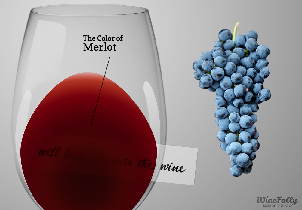 the-color-of-merlot-wine-and-merlot-grapes