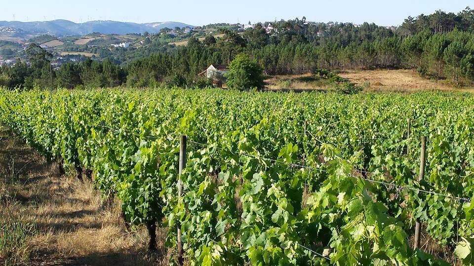 Quinta da Serradinha em Barreira, Leiria