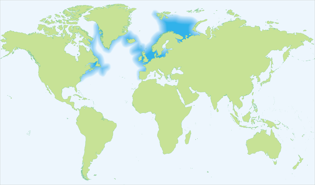 Distribuição da espécie Gadus Morhua no Atlântico Norte