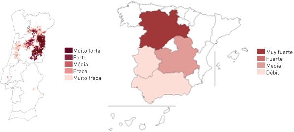 Distribuição em Portugal e Espanha