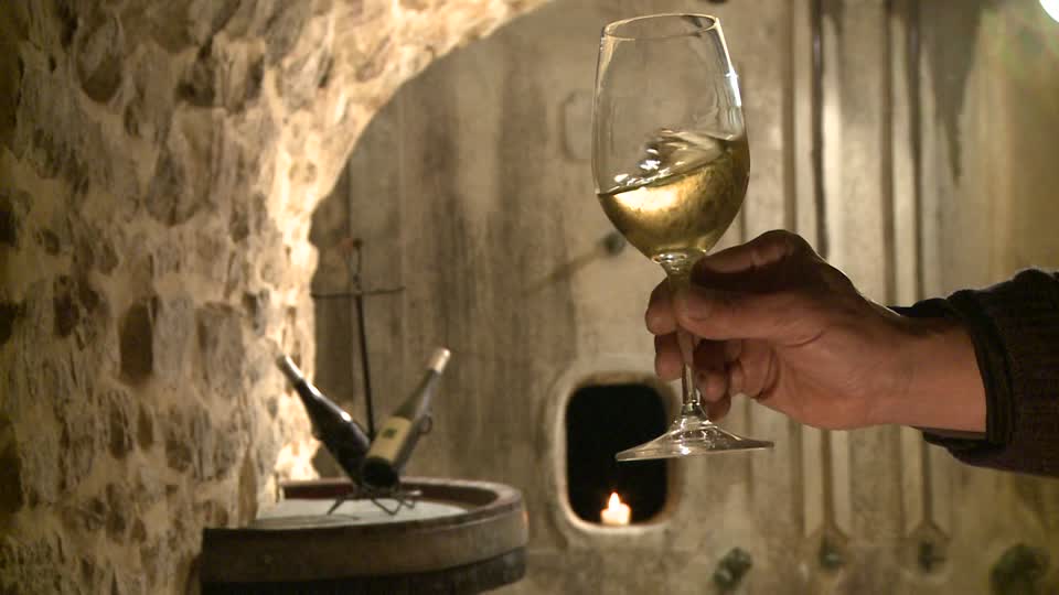 399160096-swirling-glas-wine-tasting-wine-cellar-white-wine
