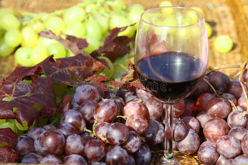 Diferenças entre aromas de frutos vermelhos e pretos no vinho