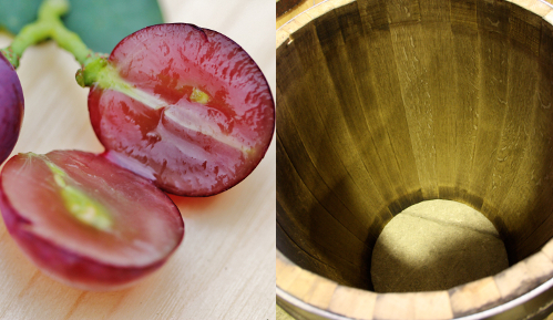 Vinhos taninosos requerem efetivamente envelhecimento em barrica.