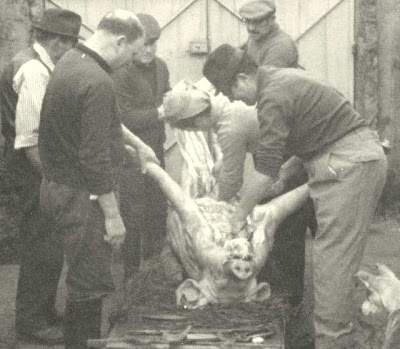 Típico amanhar do porco em Valpaços. Foto antiga dos anos 70