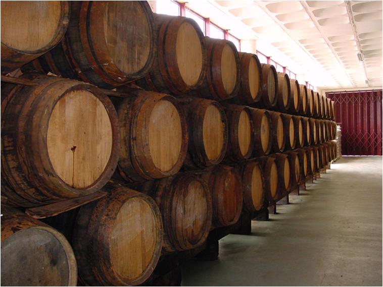A Bela História do Vinho da Madeira 8
