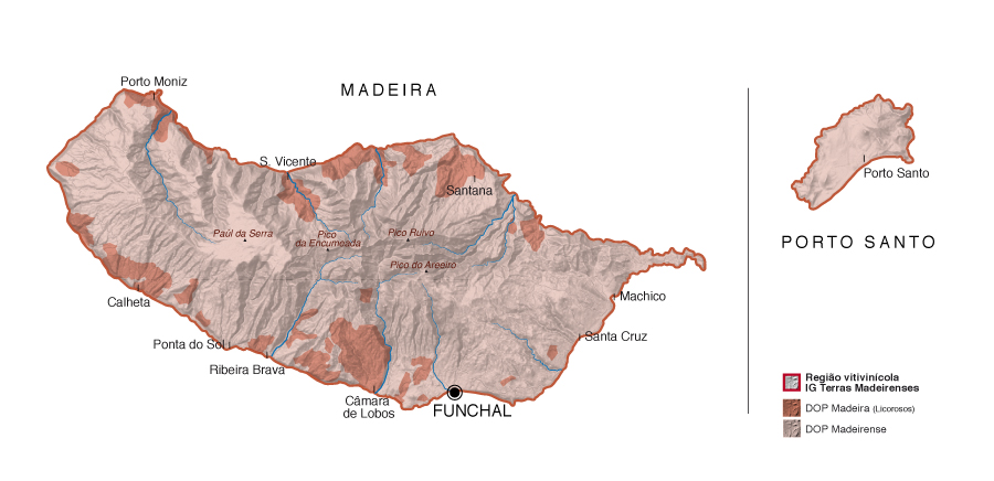 A Bela História do Vinho da Madeira 5