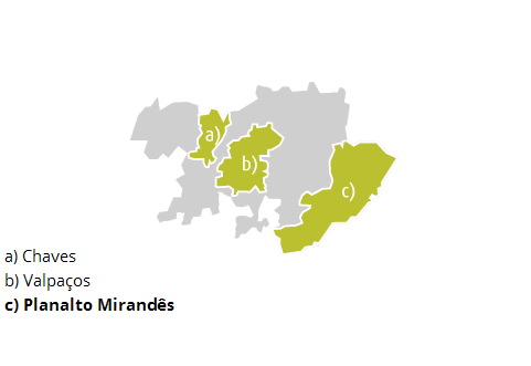 A sub região do Planalto Mirandês