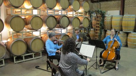 Relação harmoniosa entre vinhos e música clássica 11