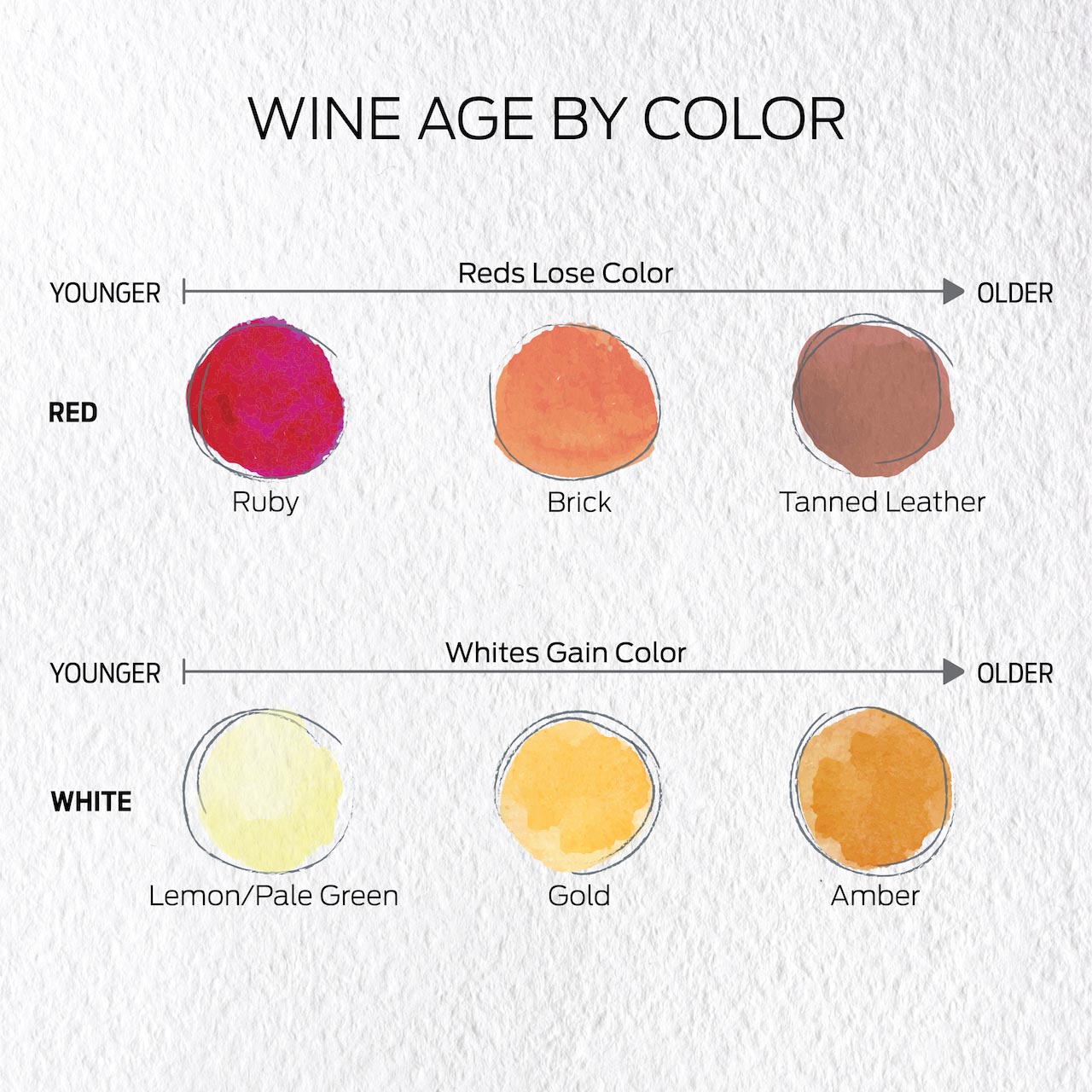 Wine_Age_By_Color
