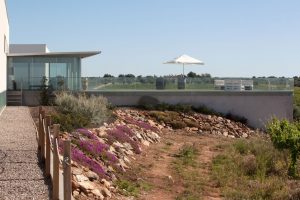 AMB - Terraço enoturismo 1