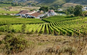 Quinta de S. Sebastião1