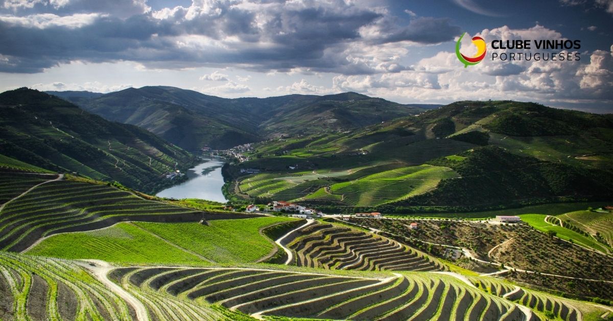 regiao-do-douro