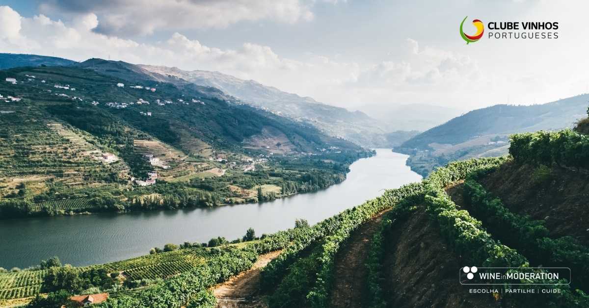 Douro All Around Wine Cidade Europeia do Vinho 2023