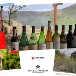 O Dia de Portugal e o Vinho Português