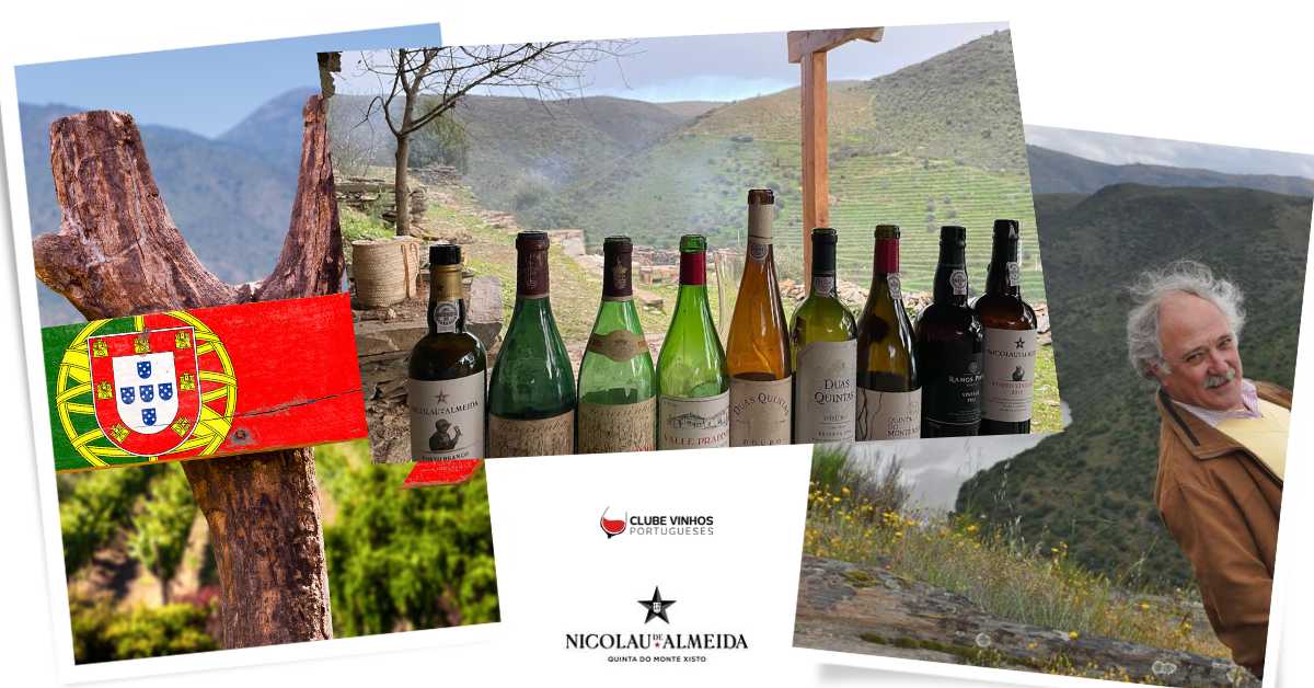O Dia de Portugal e o Vinho Português