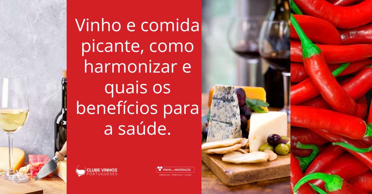 Vinho e comida picante, como harmonizar e quais os benefícios para a saúde.