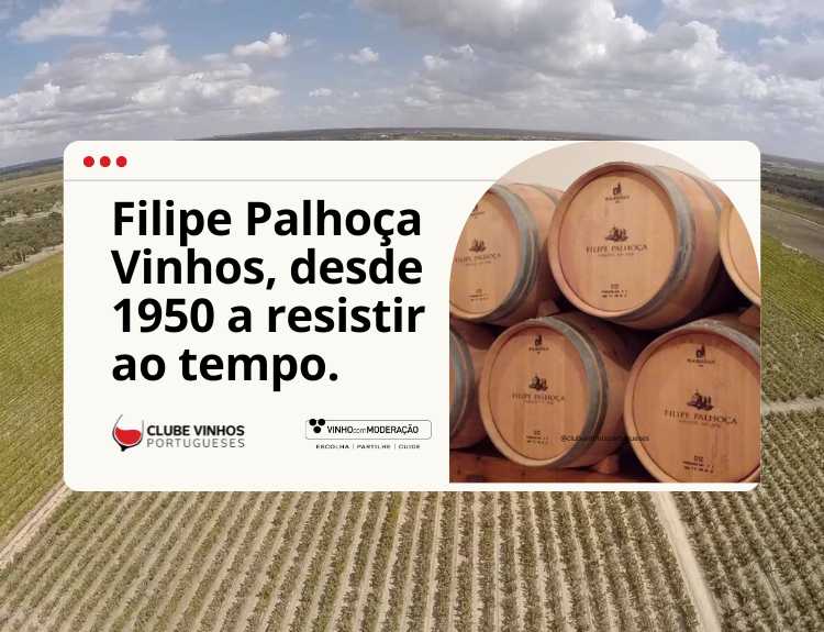Filipe Palhoça Vinhos, desde 1950 a resistir ao tempo