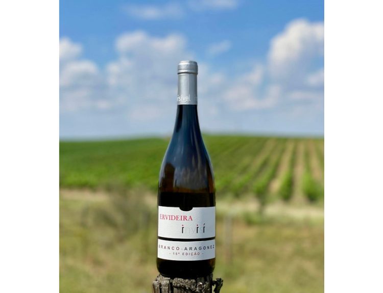 15ª Edição Invisível Ervideira