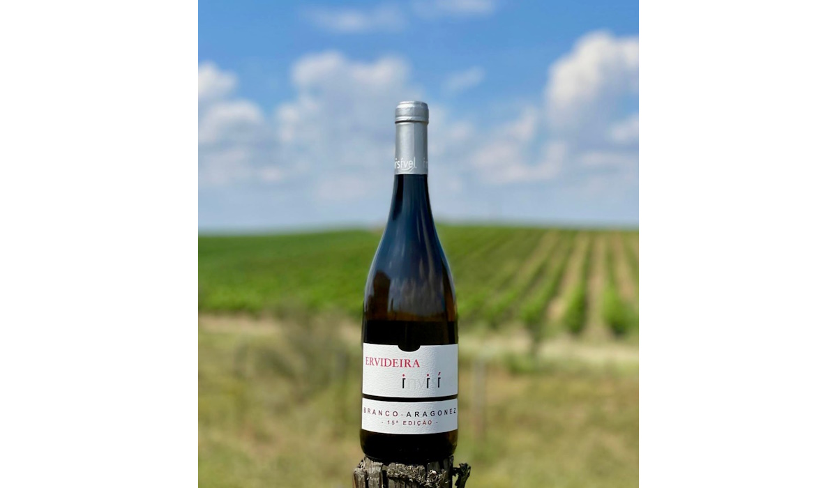 15ª Edição Invisível Ervideira