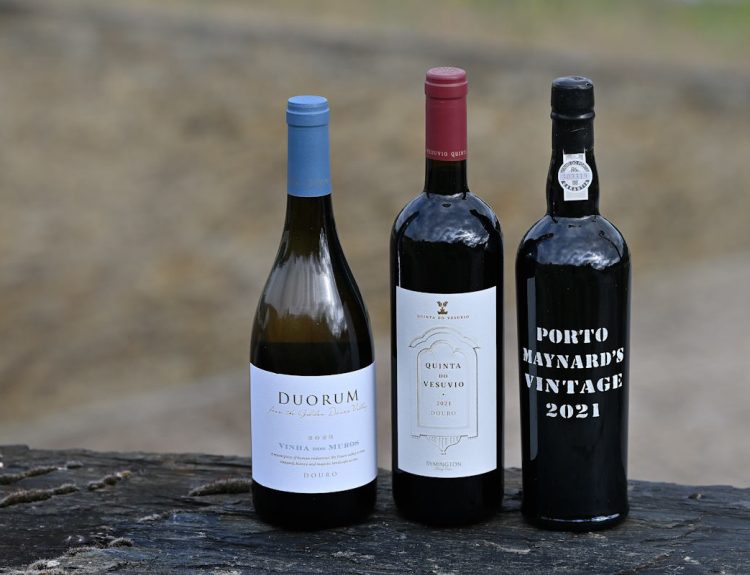 Festival do Douro Superior 2024