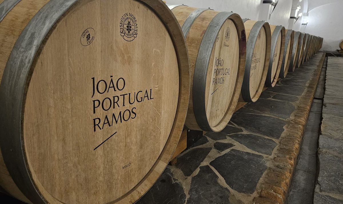 João Portugal Ramos