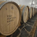 João Portugal Ramos