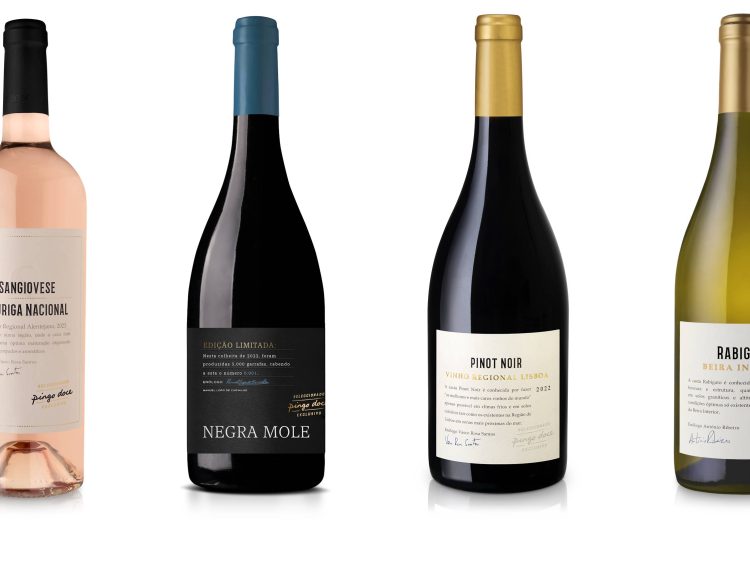 Novos Vinhos Pingo Doce