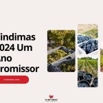 Vindimas 2024 Um Ano Promissor