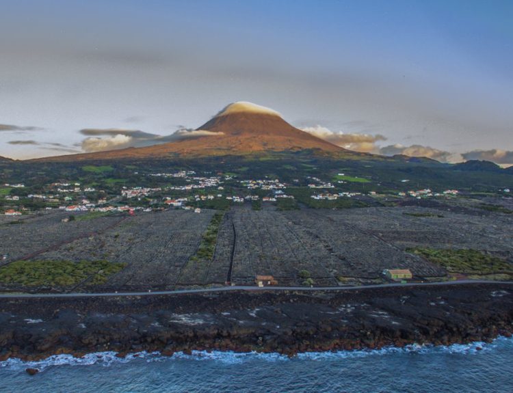 vinho pico wines ilha do pico açores