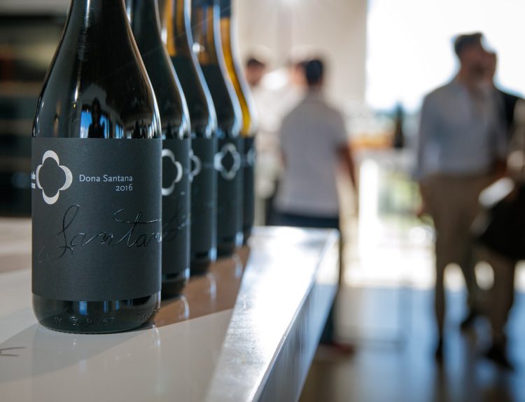 quinta de lemos vinhos