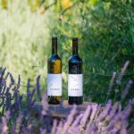 vinho esporao colheita