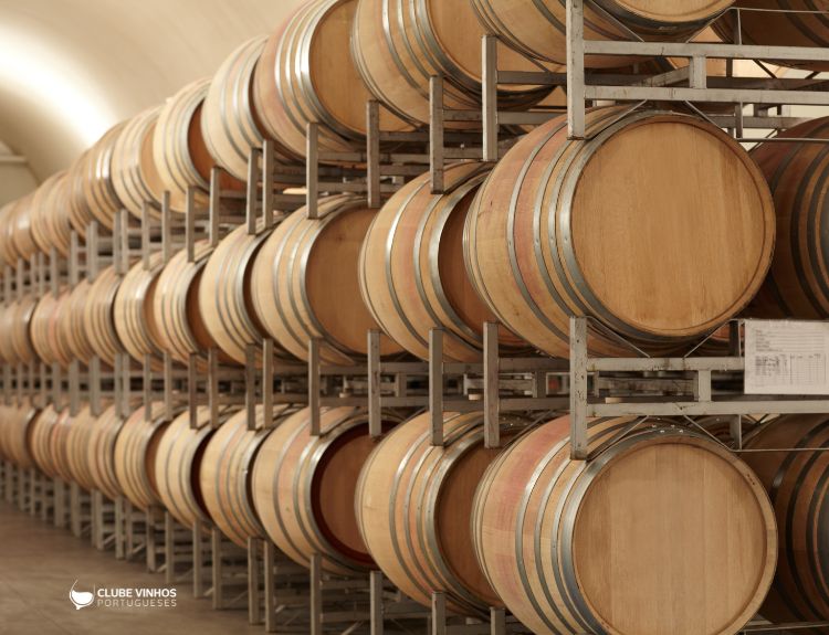 Rob McMillan partilhou alerta no Mercado de Vinhos no EUA