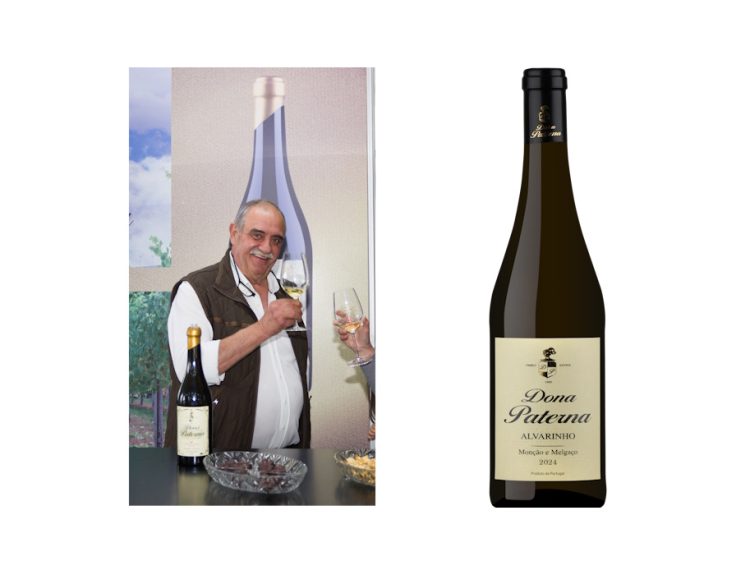 foto do vinho dona paterna alvariho 2024
