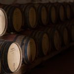 Foto das pipas da Casa de Santar