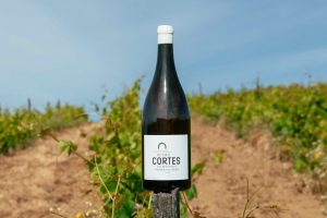 Foto do vinho Cortes do Reguengo 2023