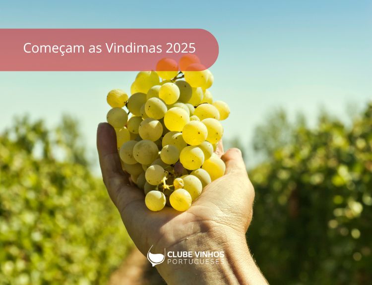 Começam as Vindimas 2025