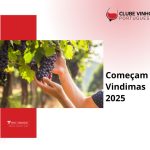 Começam as Vindimas 2025